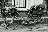 ...La bicyclette... Olivere Inđić