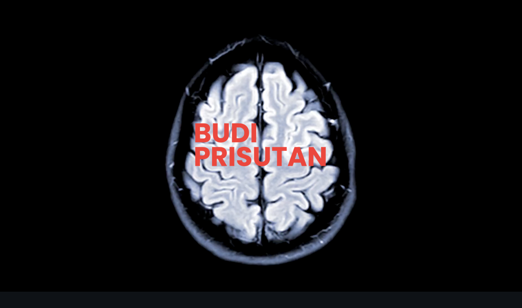 vizualizator festival fotografije 2025 budi prisutan